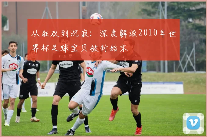 从狂欢到沉寂：深度解读2010年世界杯足球宝贝被封始末