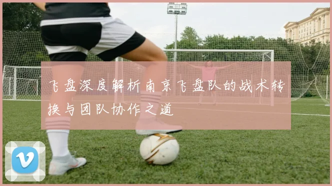 飞盘深度解析南京飞盘队的战术转换与团队协作之道