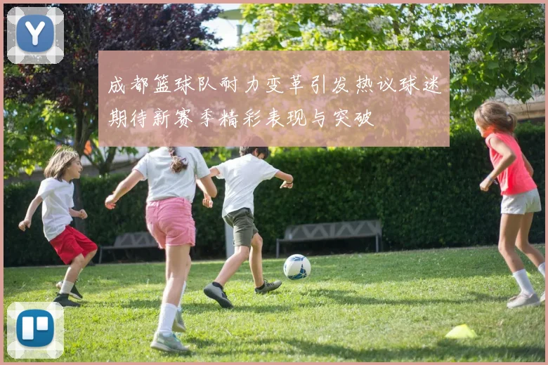成都篮球队耐力变革引发热议球迷期待新赛季精彩表现与突破