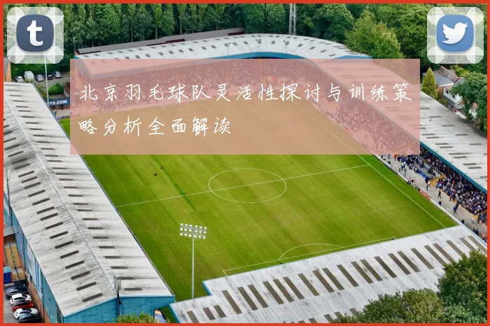 北京羽毛球队灵活性探讨与训练策略分析全面解读